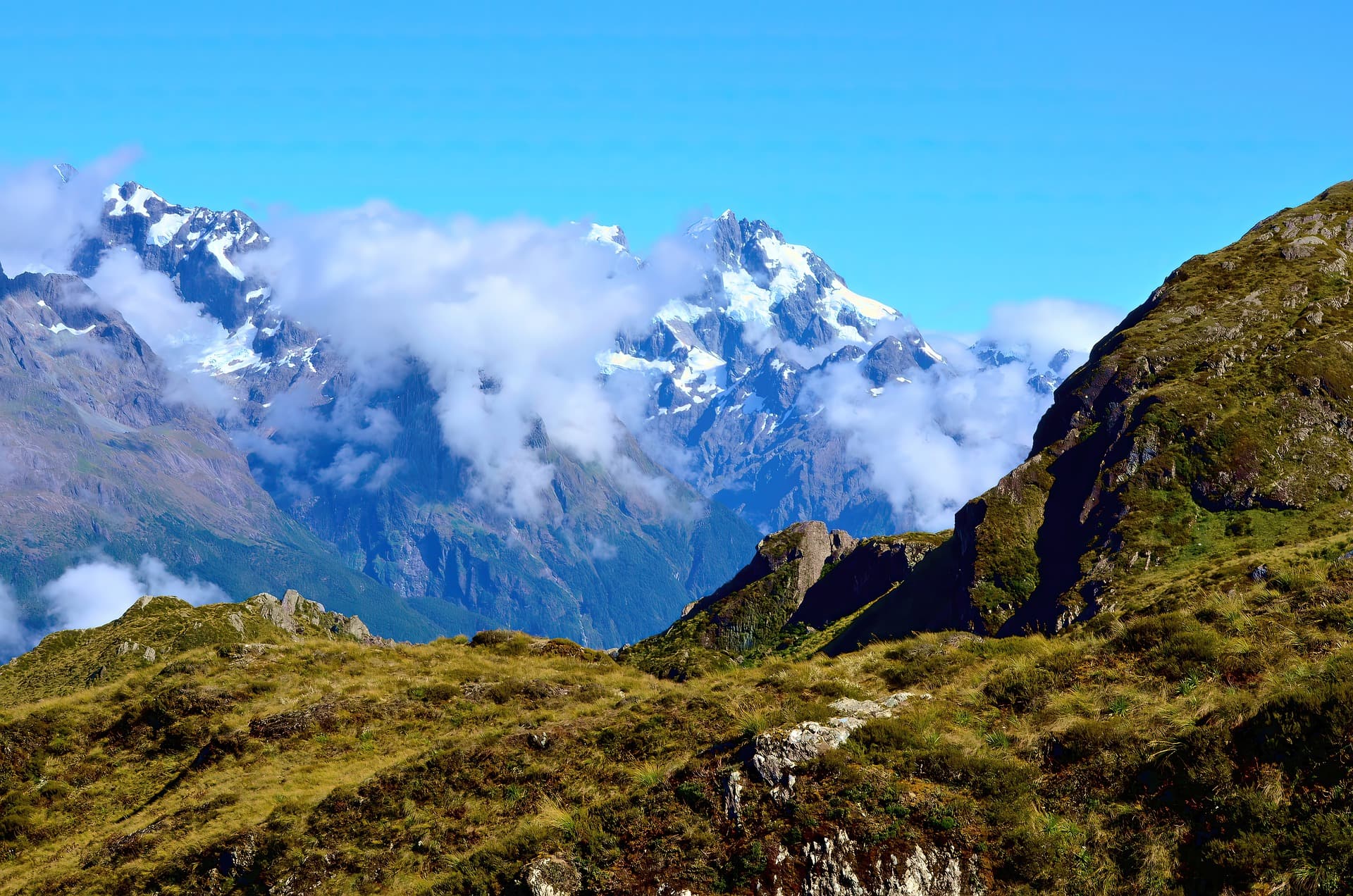 Is Website Accessibility a Legal Requirement in New Zealand?