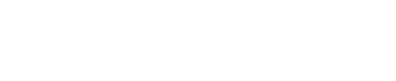 AllAccessible Automated Web Accessibility WCAG 2.1